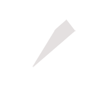 遵义临时保镖服务